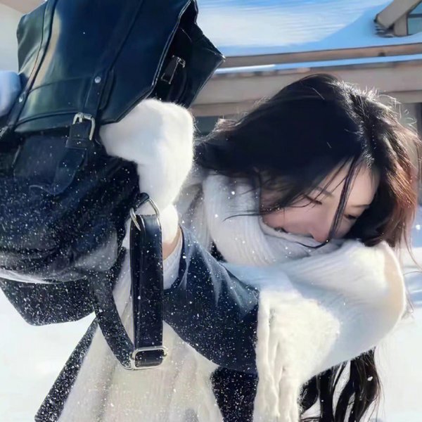 安吉里卡奇遇