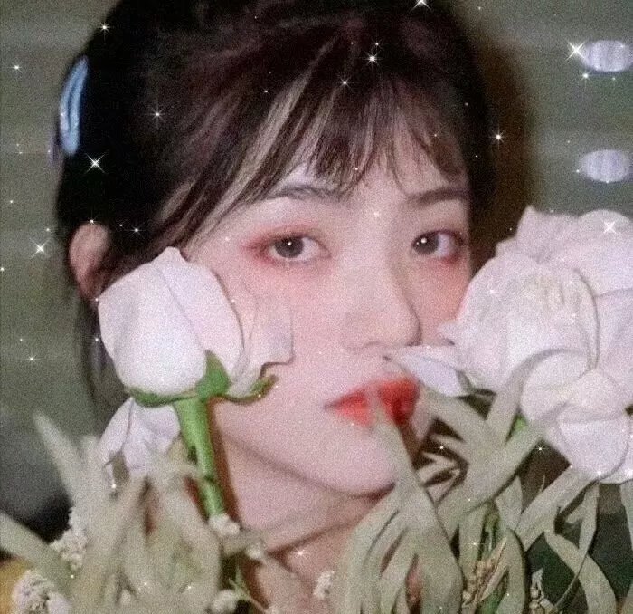 达丽达